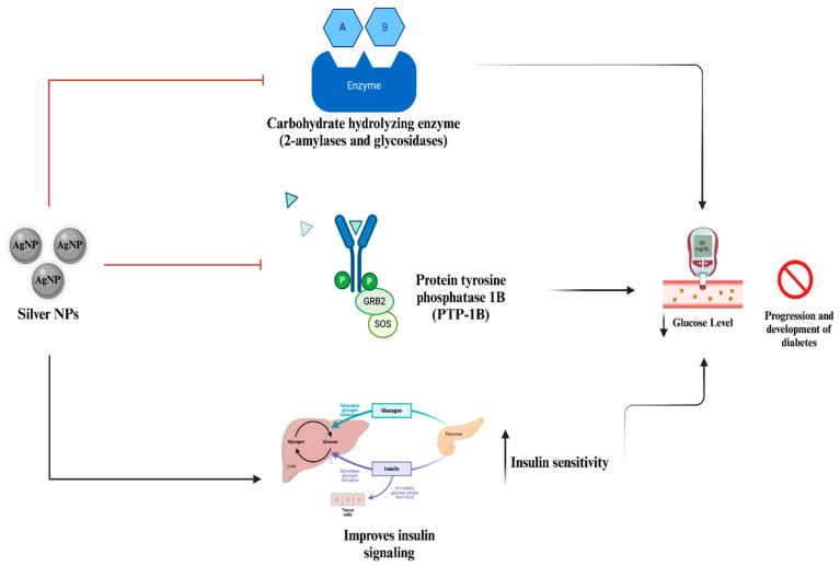 https://cdn.ncbi.nlm.nih.gov/pmc/blobs/a8d6/11510578/c95801bee6e8/nanomaterials-14-01618-g008.jpg