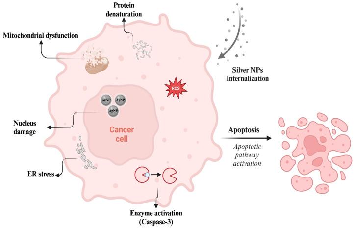 https://cdn.ncbi.nlm.nih.gov/pmc/blobs/a8d6/11510578/cae23ab30ce9/nanomaterials-14-01618-g009.jpg