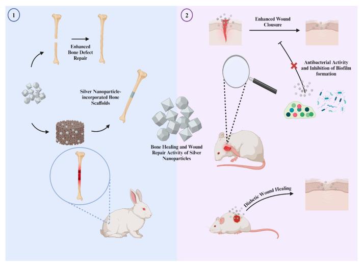 https://cdn.ncbi.nlm.nih.gov/pmc/blobs/a8d6/11510578/cb0603684913/nanomaterials-14-01618-g006.jpg