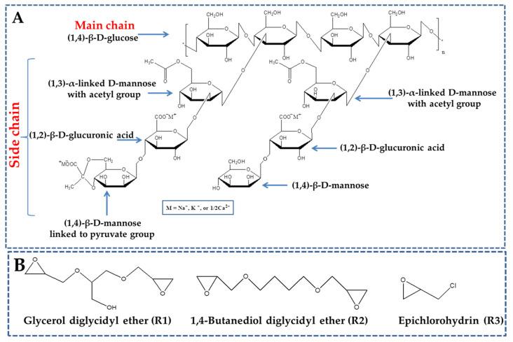 https://cdn.ncbi.nlm.nih.gov/pmc/blobs/a8d9/10378831/b52a8f09ada0/gels-09-00528-g001.jpg