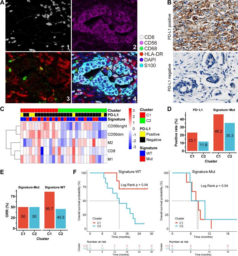 https://cdn.ncbi.nlm.nih.gov/pmc/blobs/a8dc/8603283/0857d1335762/jitc-2021-003214f07.jpg