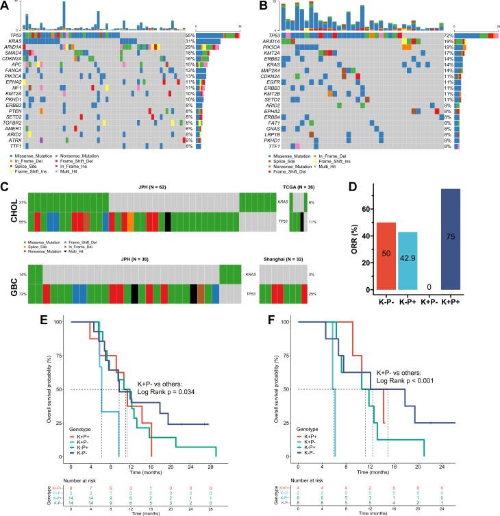 https://cdn.ncbi.nlm.nih.gov/pmc/blobs/a8dc/8603283/336ee1d89908/jitc-2021-003214f02.jpg