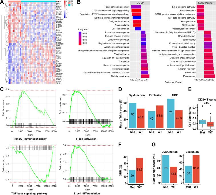 https://cdn.ncbi.nlm.nih.gov/pmc/blobs/a8dc/8603283/ff3efc3700ee/jitc-2021-003214f06.jpg