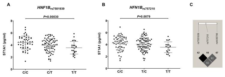 https://cdn.ncbi.nlm.nih.gov/pmc/blobs/a8dd/9139180/4920064dc1ea/cancers-14-02376-g003.jpg