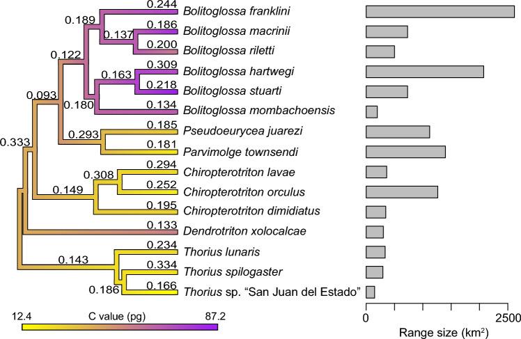 https://cdn.ncbi.nlm.nih.gov/pmc/blobs/a8de/11291587/5c643e94450d/239_2024_10177_Fig1_HTML.jpg