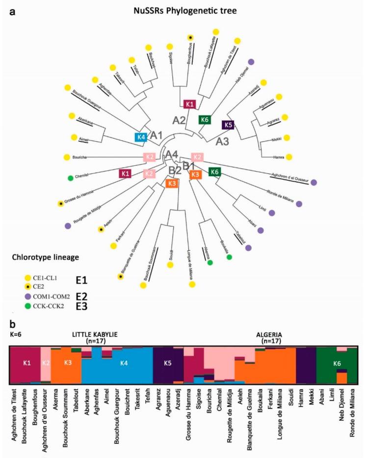https://cdn.ncbi.nlm.nih.gov/pmc/blobs/a8de/7140851/0ef297fde0a1/genes-11-00303-g003.jpg