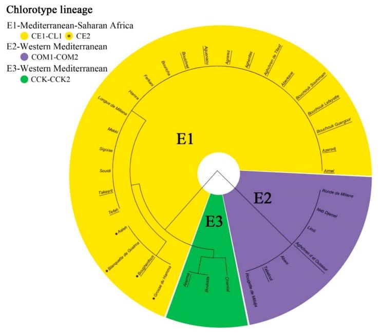 https://cdn.ncbi.nlm.nih.gov/pmc/blobs/a8de/7140851/6e20be68431c/genes-11-00303-g002.jpg