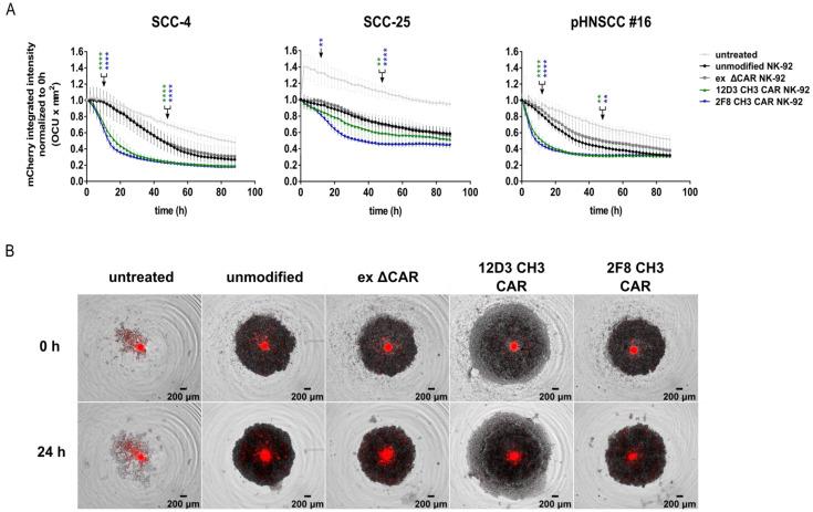 https://cdn.ncbi.nlm.nih.gov/pmc/blobs/a8e0/10296665/204afe94cf86/cancers-15-03169-g006.jpg
