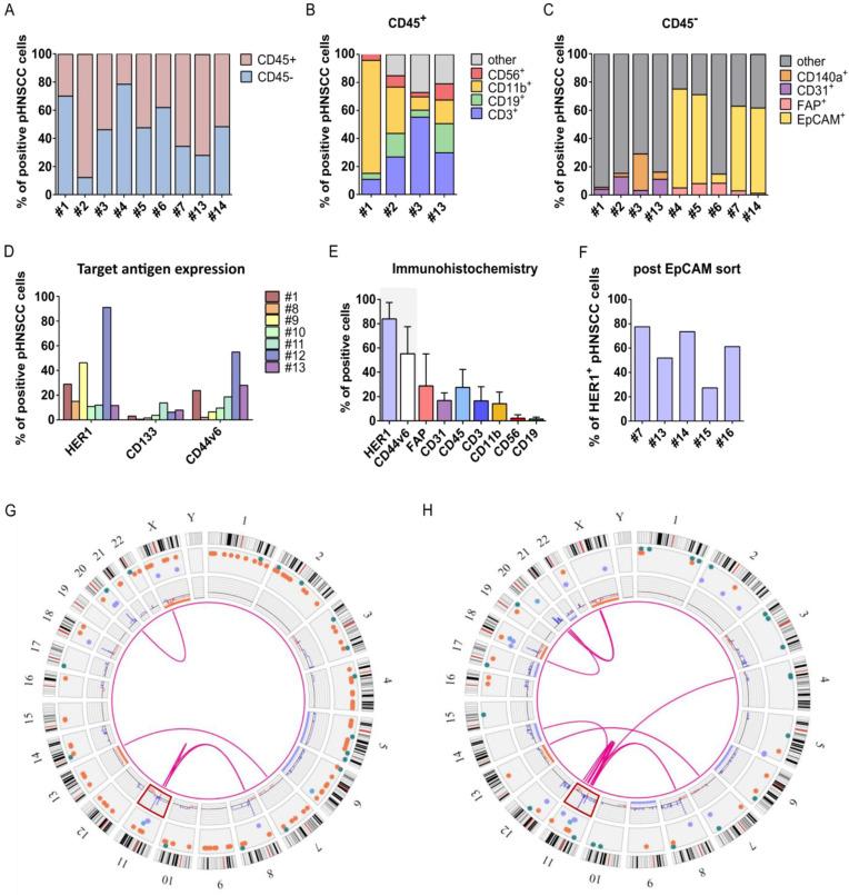 https://cdn.ncbi.nlm.nih.gov/pmc/blobs/a8e0/10296665/4e9dcb603002/cancers-15-03169-g004.jpg