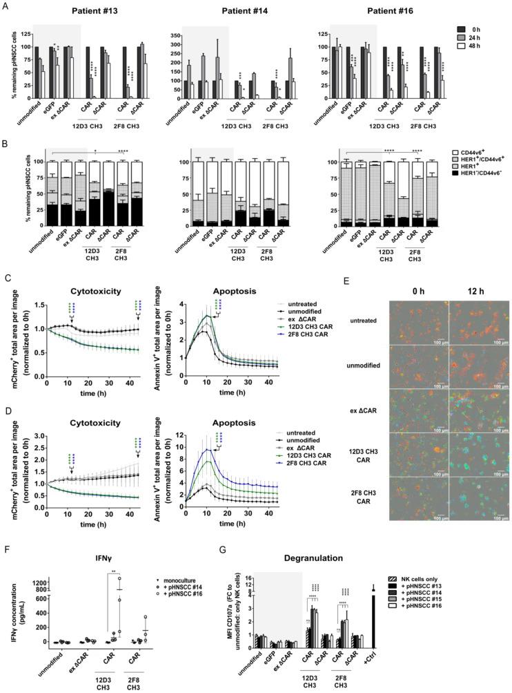 https://cdn.ncbi.nlm.nih.gov/pmc/blobs/a8e0/10296665/f012dfb1b697/cancers-15-03169-g005.jpg