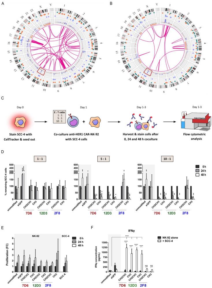 https://cdn.ncbi.nlm.nih.gov/pmc/blobs/a8e0/10296665/fc109c63ae4e/cancers-15-03169-g002.jpg