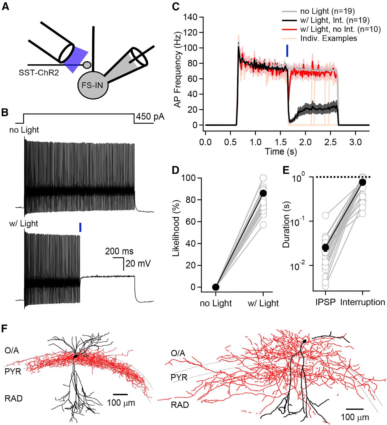 https://cdn.ncbi.nlm.nih.gov/pmc/blobs/a8e2/10121938/31345bc92ae2/nihms-1874812-f0001.jpg