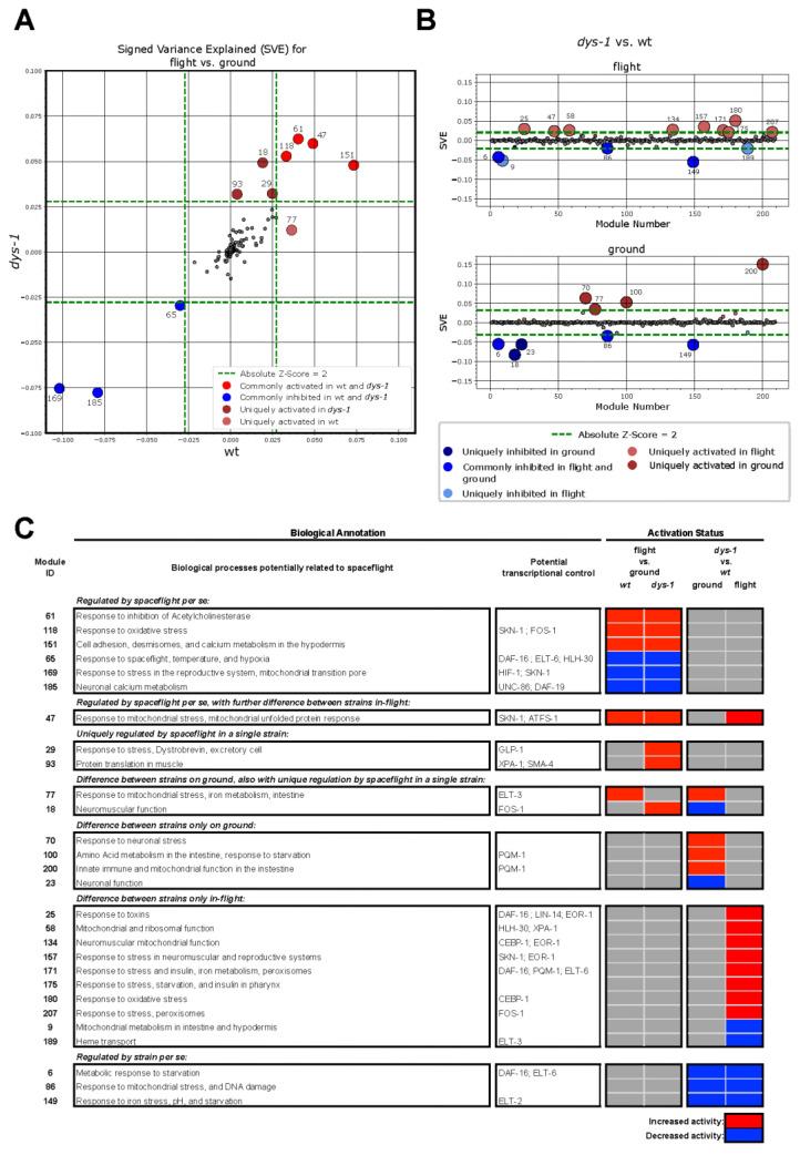 https://cdn.ncbi.nlm.nih.gov/pmc/blobs/a8e3/10605753/19478b0046c6/cells-12-02470-g006.jpg