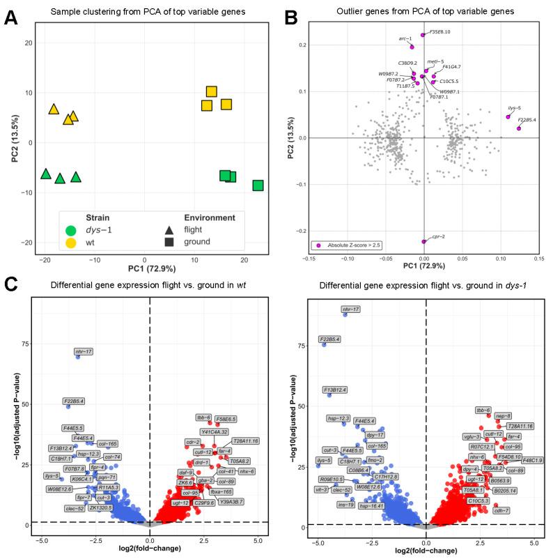 https://cdn.ncbi.nlm.nih.gov/pmc/blobs/a8e3/10605753/261f5025ff2d/cells-12-02470-g004.jpg