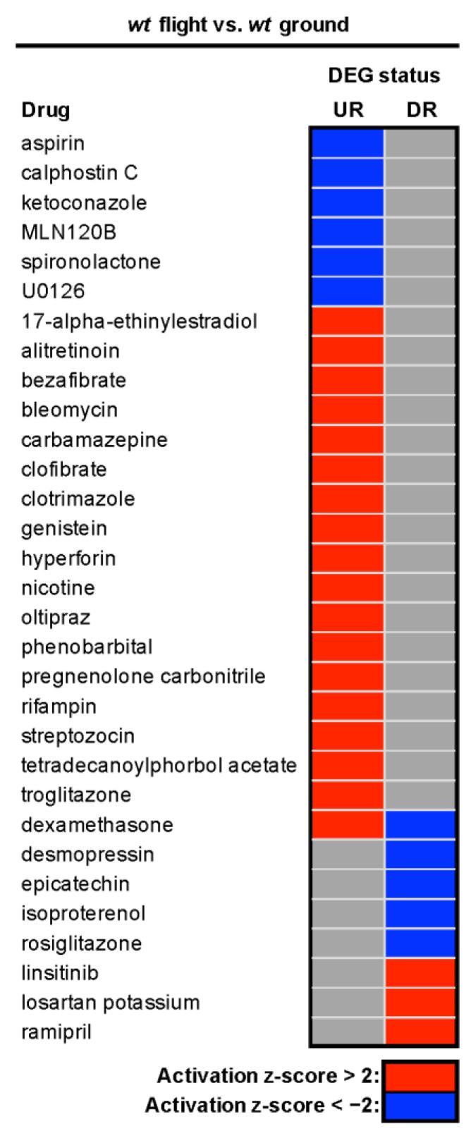 https://cdn.ncbi.nlm.nih.gov/pmc/blobs/a8e3/10605753/2ad30da4d7fc/cells-12-02470-g007.jpg