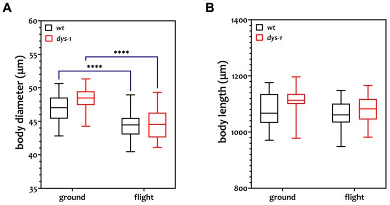 https://cdn.ncbi.nlm.nih.gov/pmc/blobs/a8e3/10605753/9fdd5aee2f8d/cells-12-02470-g002.jpg