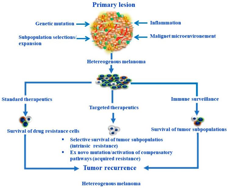 https://cdn.ncbi.nlm.nih.gov/pmc/blobs/a8e6/10854812/208b3b34786c/cells-13-00240-g001.jpg