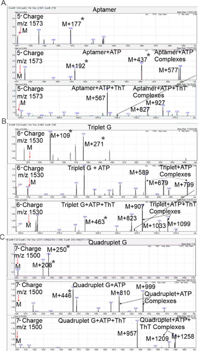 https://cdn.ncbi.nlm.nih.gov/pmc/blobs/a8e6/10976393/6cdd54381988/ao3c10386_0005.jpg