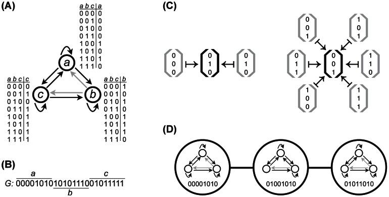 https://cdn.ncbi.nlm.nih.gov/pmc/blobs/a8e9/3675121/42a7acb15f50/pcbi.1003071.g001.jpg
