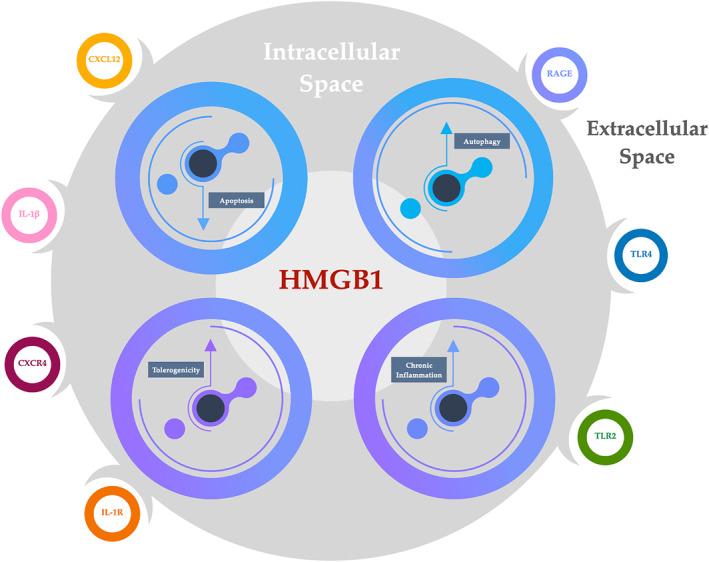 https://cdn.ncbi.nlm.nih.gov/pmc/blobs/a8e9/8967267/9fef15c4546d/CLT2-12-e12133-g002.jpg