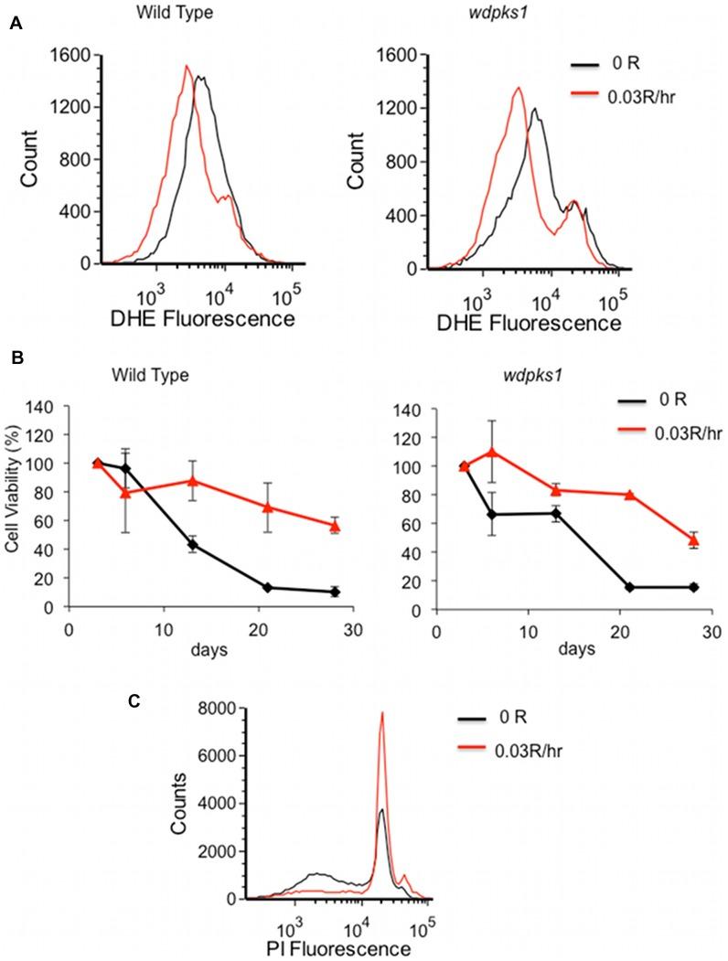https://cdn.ncbi.nlm.nih.gov/pmc/blobs/a8ea/3490873/1562c57c64a1/pone.0048674.g006.jpg