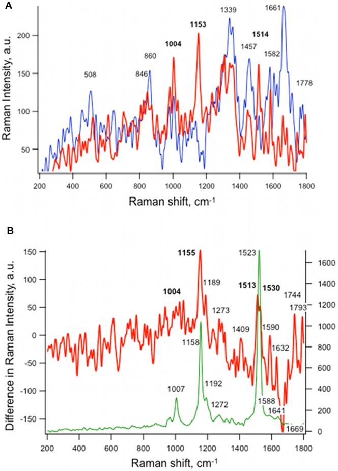 https://cdn.ncbi.nlm.nih.gov/pmc/blobs/a8ea/3490873/c6f9b3603a0a/pone.0048674.g007.jpg