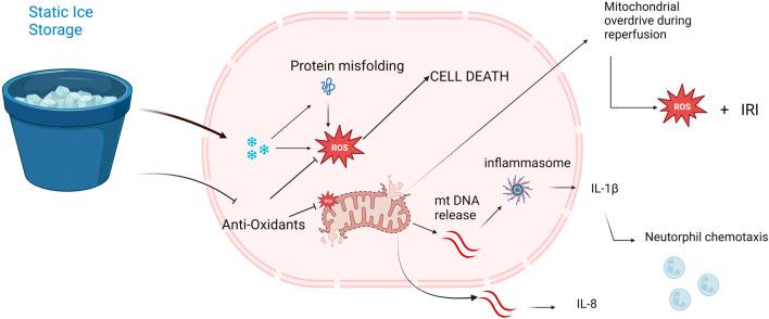 https://cdn.ncbi.nlm.nih.gov/pmc/blobs/a8eb/11062243/60b9235fed0c/ti-37-12601-g009.jpg