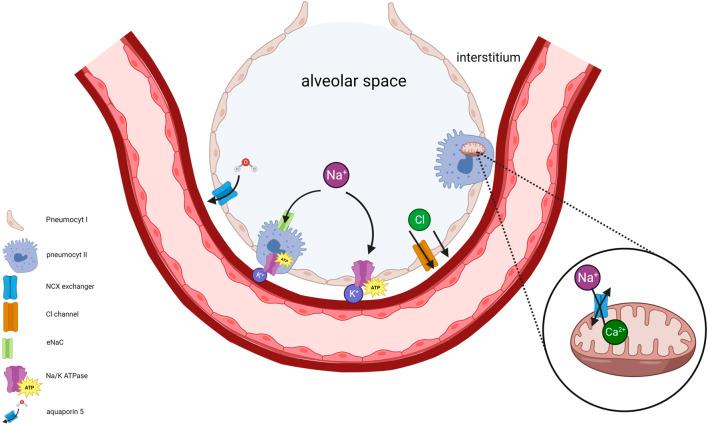 https://cdn.ncbi.nlm.nih.gov/pmc/blobs/a8eb/11062243/7b69a0074ccf/ti-37-12601-g010.jpg
