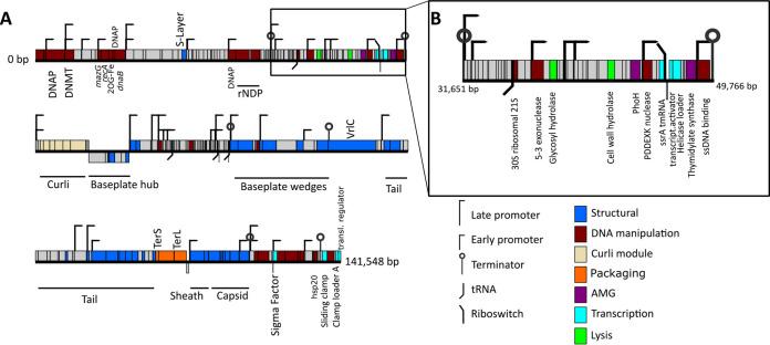 https://cdn.ncbi.nlm.nih.gov/pmc/blobs/a8eb/9004378/bd789f0ed36e/aem.00255-22-f003.jpg