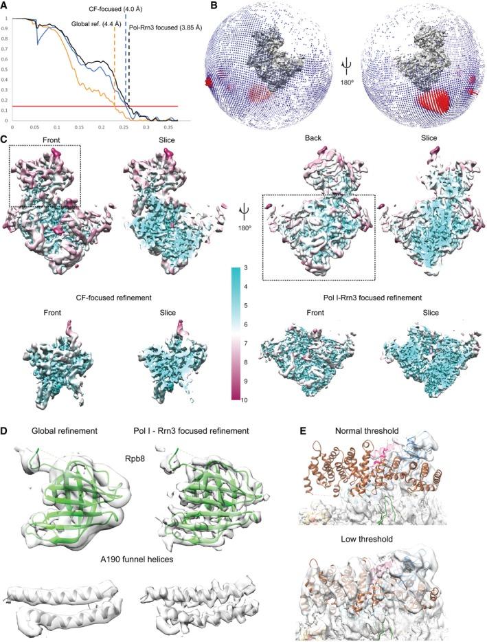 https://cdn.ncbi.nlm.nih.gov/pmc/blobs/a8ef/5599796/9beb8d5fa2ea/EMBJ-36-2698-g003.jpg