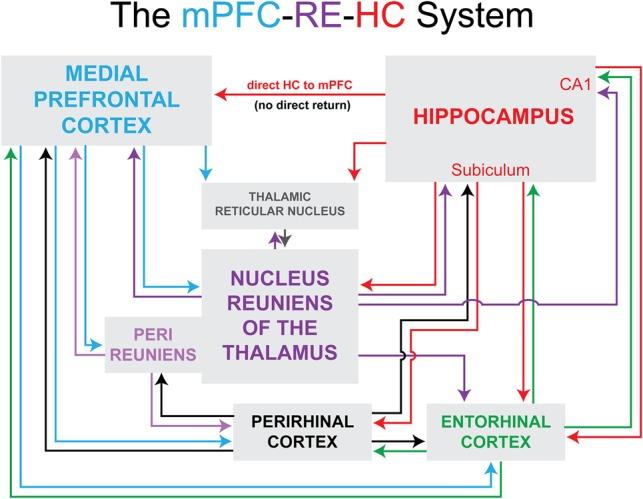 https://cdn.ncbi.nlm.nih.gov/pmc/blobs/a8f1/6581009/fad86dd3325d/LM048389Dol_F1.jpg
