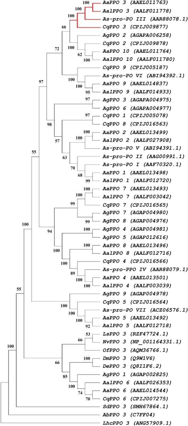 https://cdn.ncbi.nlm.nih.gov/pmc/blobs/a8f1/9194137/433179968eeb/gr3.jpg
