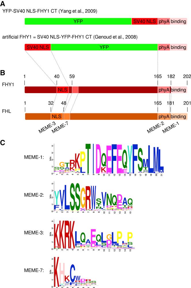 https://cdn.ncbi.nlm.nih.gov/pmc/blobs/a8f2/7748001/781e7358cbe6/gr1.jpg