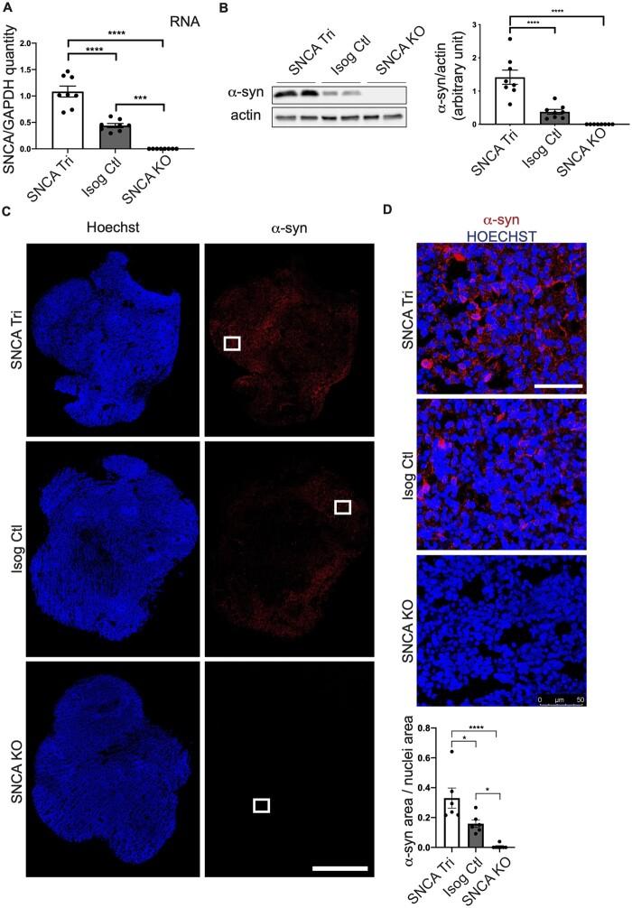 https://cdn.ncbi.nlm.nih.gov/pmc/blobs/a8f2/8495137/a9bcb07599db/fcab223f2.jpg