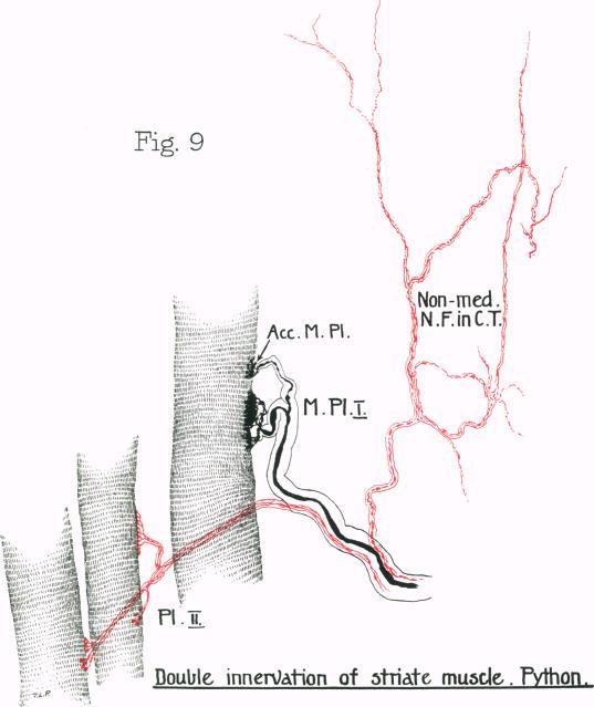 https://cdn.ncbi.nlm.nih.gov/pmc/blobs/a8f3/1249764/36056daa7597/janat00637-0085-a.jpg