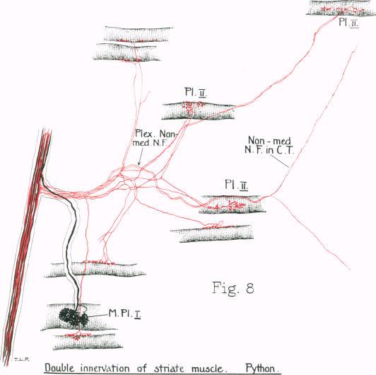 https://cdn.ncbi.nlm.nih.gov/pmc/blobs/a8f3/1249764/75c9466da4c3/janat00637-0084-a.jpg