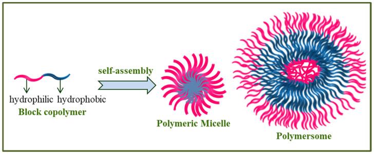 https://cdn.ncbi.nlm.nih.gov/pmc/blobs/a8f3/9657626/0cb6e63b8d01/polymers-14-04702-g005.jpg