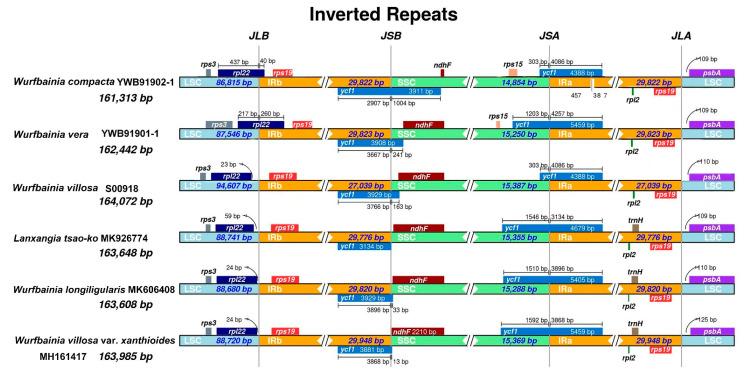 https://cdn.ncbi.nlm.nih.gov/pmc/blobs/a8f7/11354342/849343a5e94e/ijms-25-09005-g002.jpg