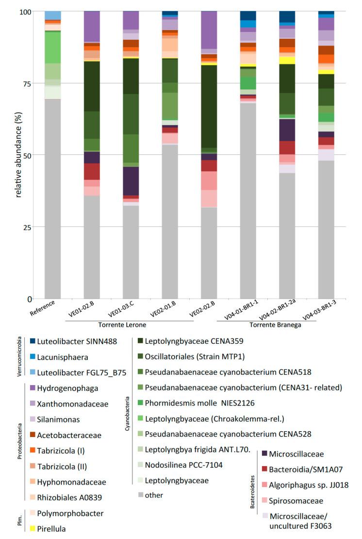 https://cdn.ncbi.nlm.nih.gov/pmc/blobs/a8f8/7824716/3544244fa5e1/microorganisms-09-00062-g005.jpg