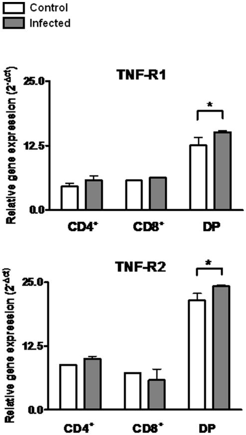https://cdn.ncbi.nlm.nih.gov/pmc/blobs/a8f9/3312912/8c7d9103ad57/pone.0034360.g004.jpg