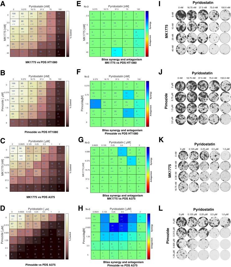 https://cdn.ncbi.nlm.nih.gov/pmc/blobs/a8f9/6615864/1d4b1198efc6/elife-46793-fig9-figsupp2.jpg