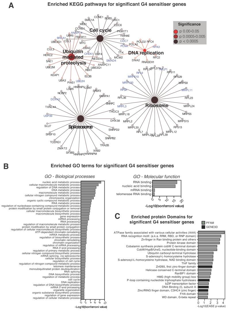 https://cdn.ncbi.nlm.nih.gov/pmc/blobs/a8f9/6615864/39fab4e51864/elife-46793-fig4.jpg