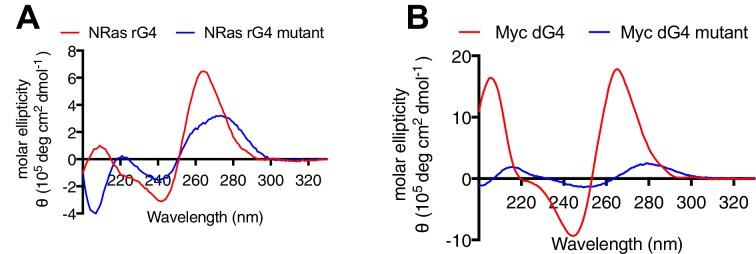 https://cdn.ncbi.nlm.nih.gov/pmc/blobs/a8f9/6615864/408d1272f64b/elife-46793-fig10-figsupp1.jpg