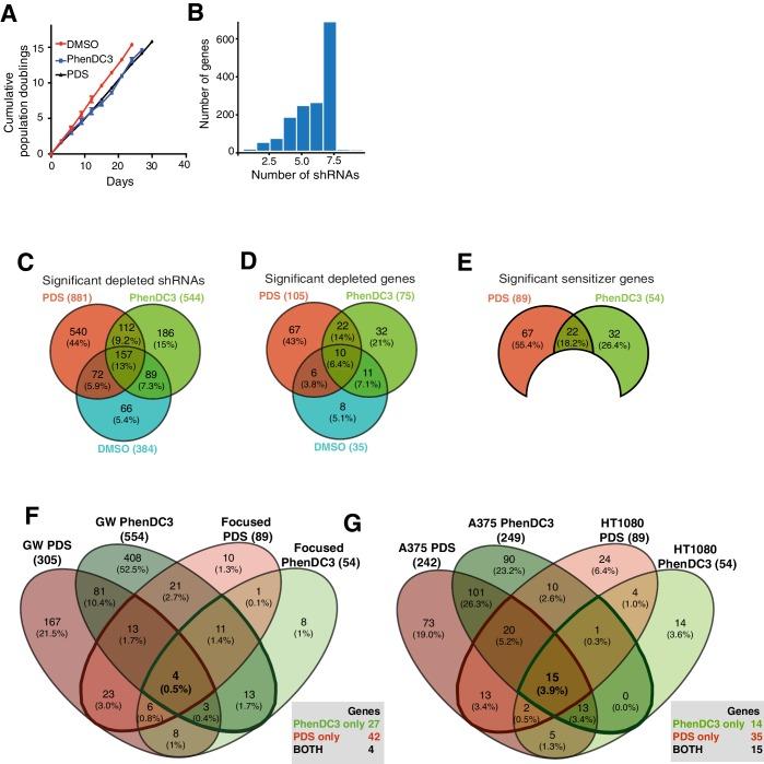 https://cdn.ncbi.nlm.nih.gov/pmc/blobs/a8f9/6615864/59376bd7bb3d/elife-46793-fig7-figsupp1.jpg