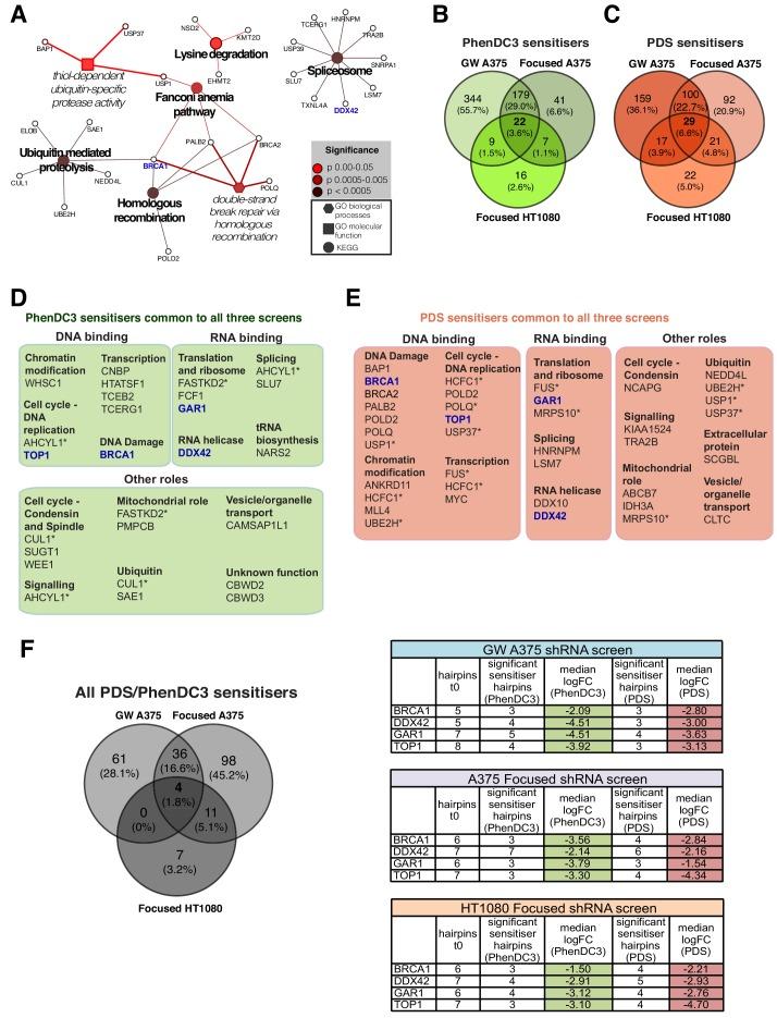 https://cdn.ncbi.nlm.nih.gov/pmc/blobs/a8f9/6615864/a4dd70ad8a2e/elife-46793-fig7.jpg