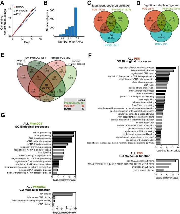 https://cdn.ncbi.nlm.nih.gov/pmc/blobs/a8f9/6615864/bcef7069a228/elife-46793-fig6-figsupp1.jpg