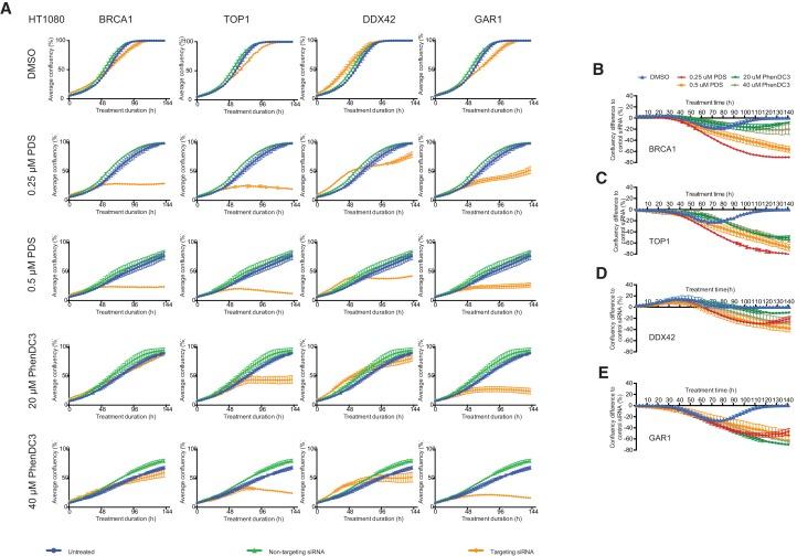 https://cdn.ncbi.nlm.nih.gov/pmc/blobs/a8f9/6615864/d715fc53b447/elife-46793-fig8-figsupp1.jpg
