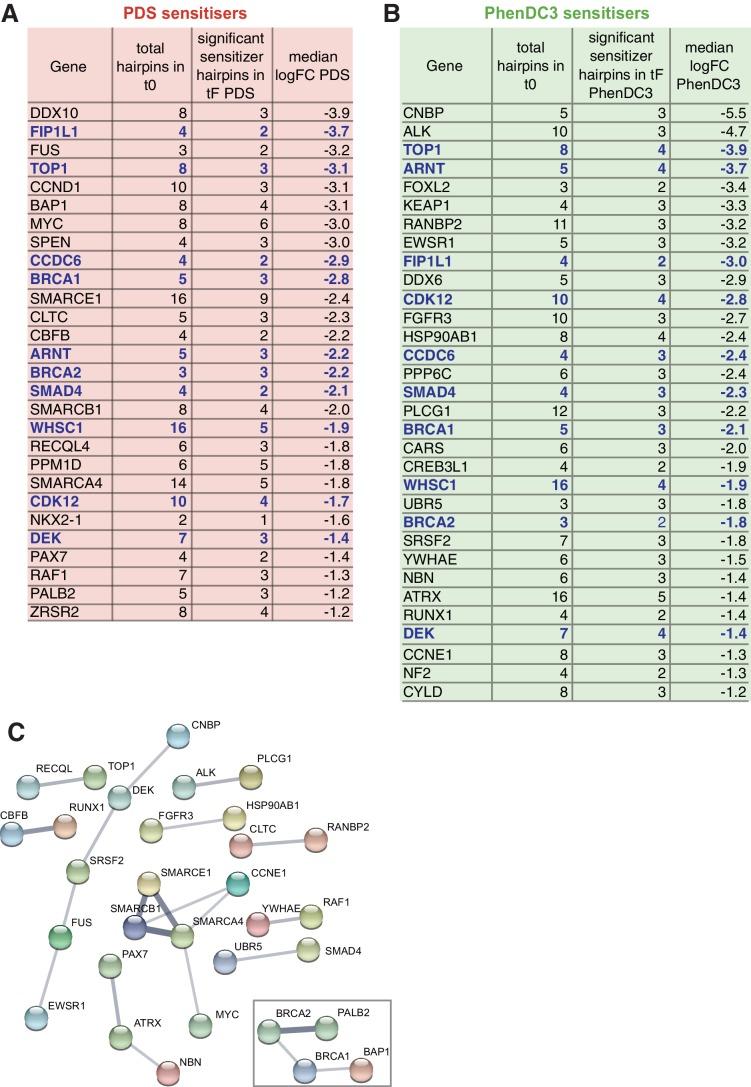 https://cdn.ncbi.nlm.nih.gov/pmc/blobs/a8f9/6615864/e598f82d7d4b/elife-46793-fig5.jpg