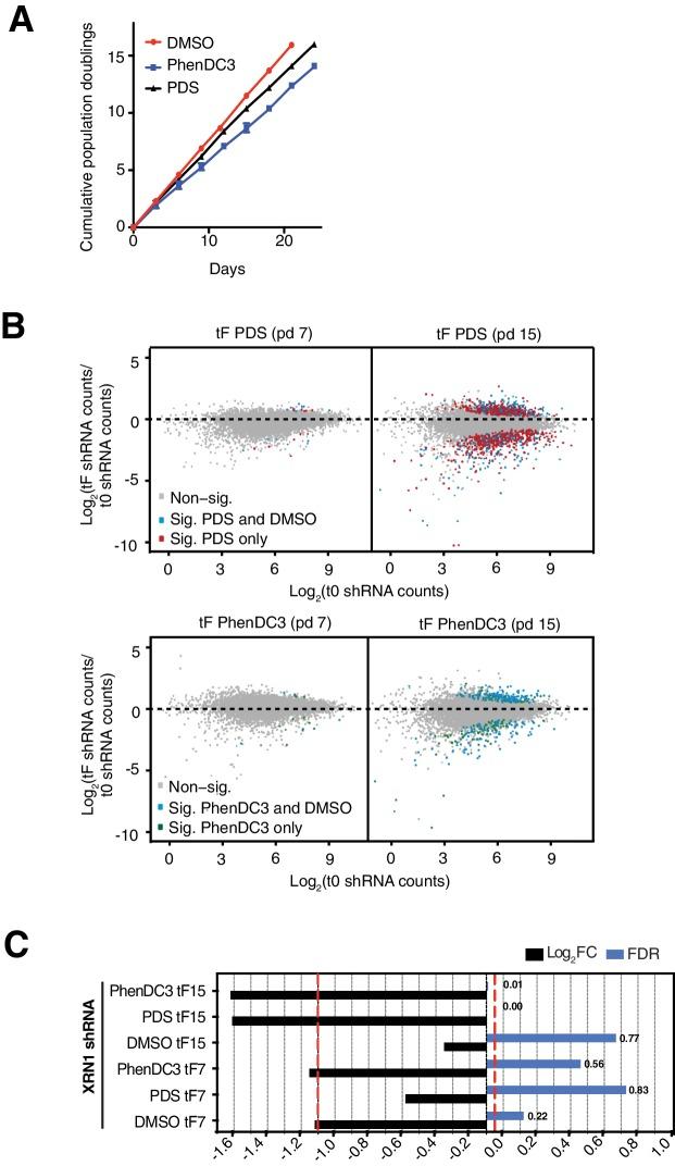 https://cdn.ncbi.nlm.nih.gov/pmc/blobs/a8f9/6615864/ecb34bd172f7/elife-46793-fig2-figsupp1.jpg
