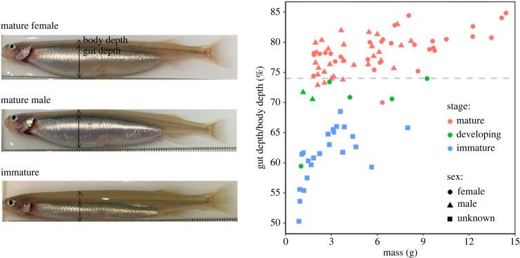 https://cdn.ncbi.nlm.nih.gov/pmc/blobs/a8fa/10618859/282a1f449228/rspb20231779f01.jpg